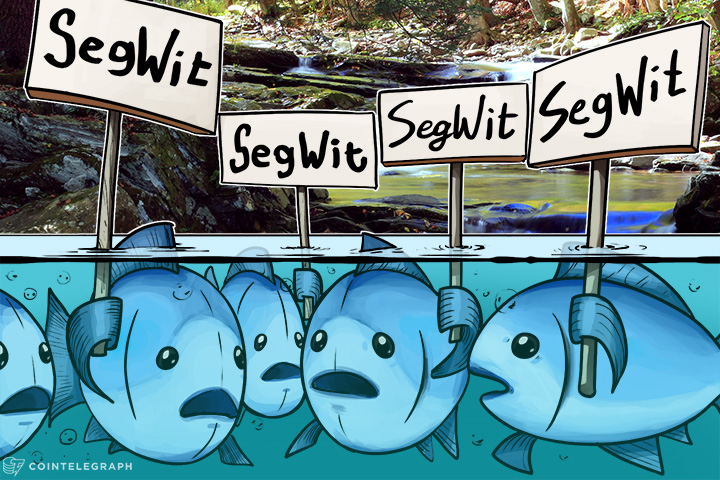worlds-third-largest-bitcoin-mining-pool-signals-segwit-for-bitcoin