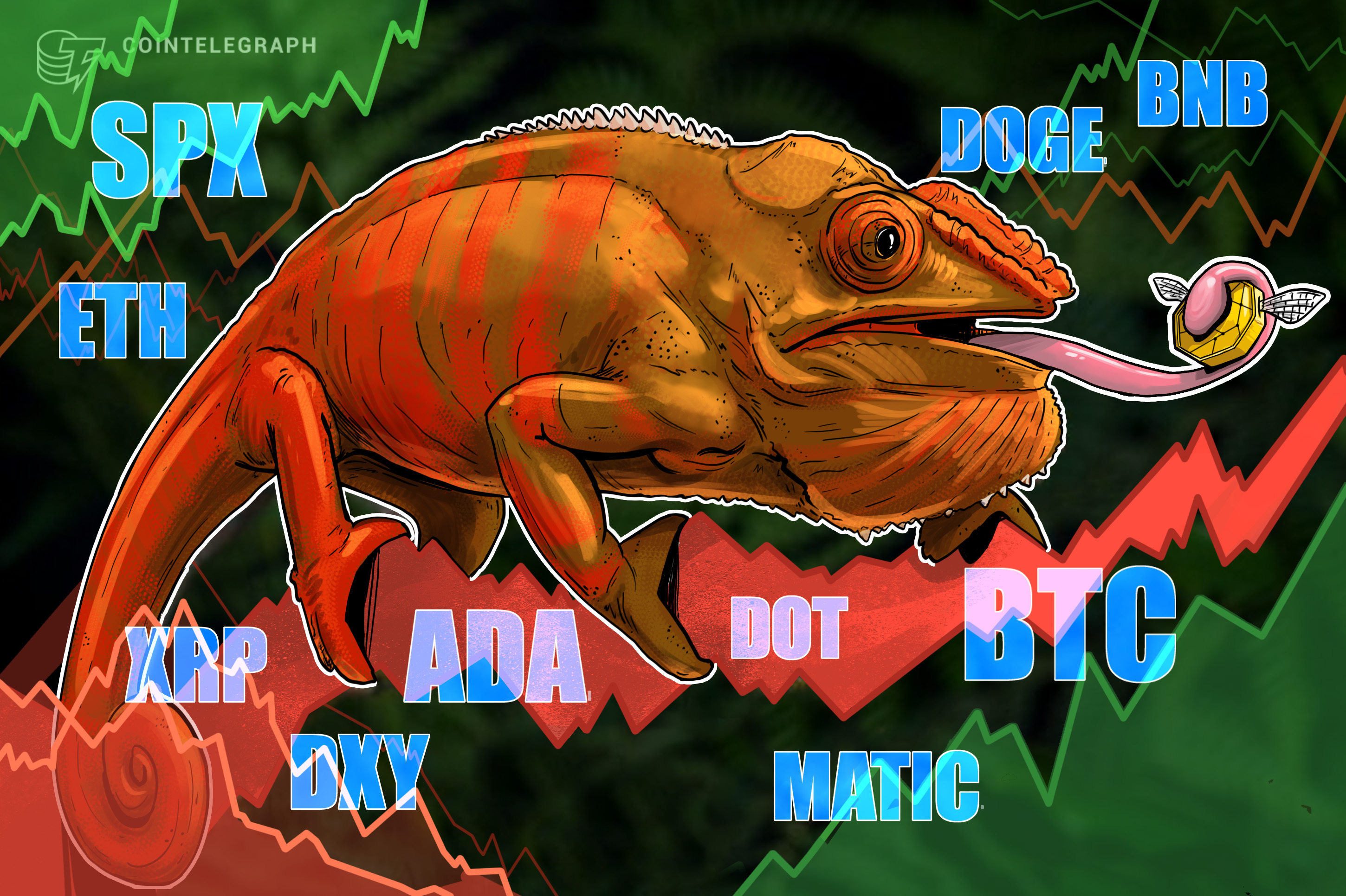 price-analysis-2-6-spx-dxy-btc-eth-bnb-xrp-doge-ada-matic-dot