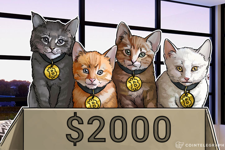 bitcoin-price-likely-to-reach-2000-as-more-serious-investors-get-involved