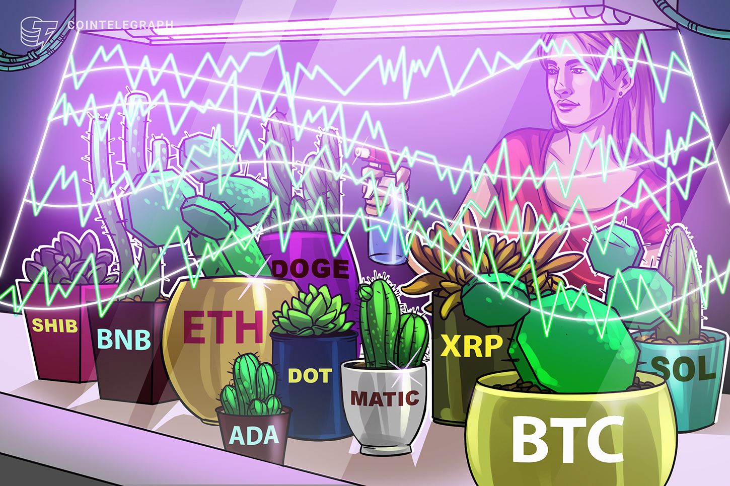 price-analysis-2-24-btc-eth-bnb-xrp-ada-doge-matic-sol-dot-shib