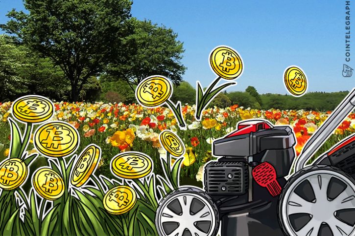 bitcoin-leads-cryptocurrencies-all-time-highs-across-board-scaling-remains-issue