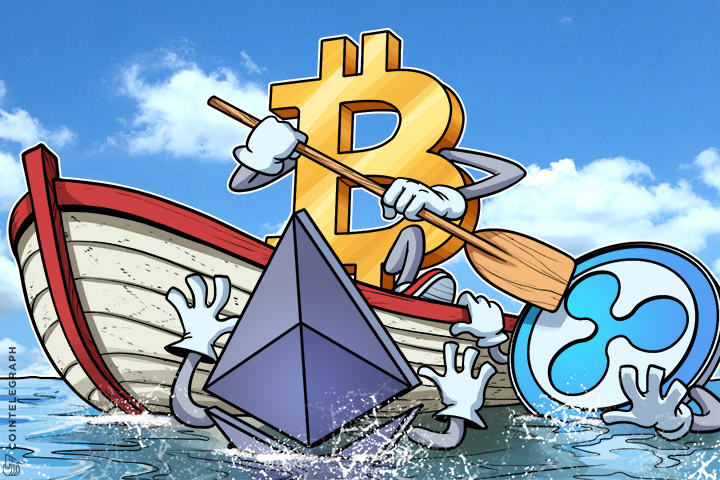 bitcoin-reasserts-itself-taking-back-over-50-crypto-market-share