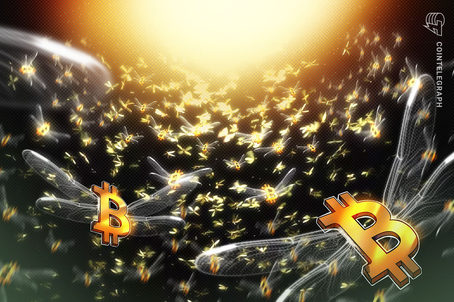 hyperbitcoinization-coming-says-bitcoin-og-as-wholecoiners-hit-1-million