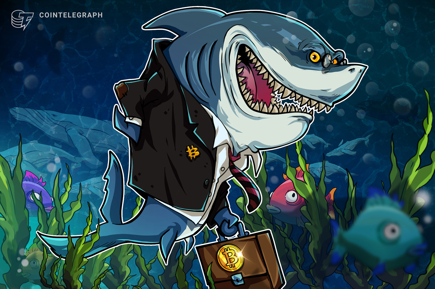 bitcoin-speculators-underwater-btc-research