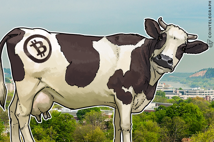 arkansas-livestock-cooperative-planning-use-blockchain-technology-in-meat-products-monitoring
