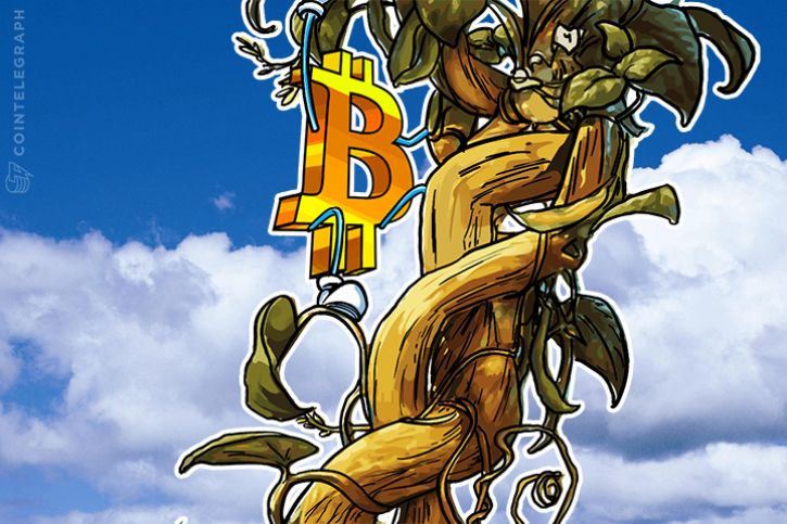 rising-bitcoin-price-yields-greater-stability-opinion
