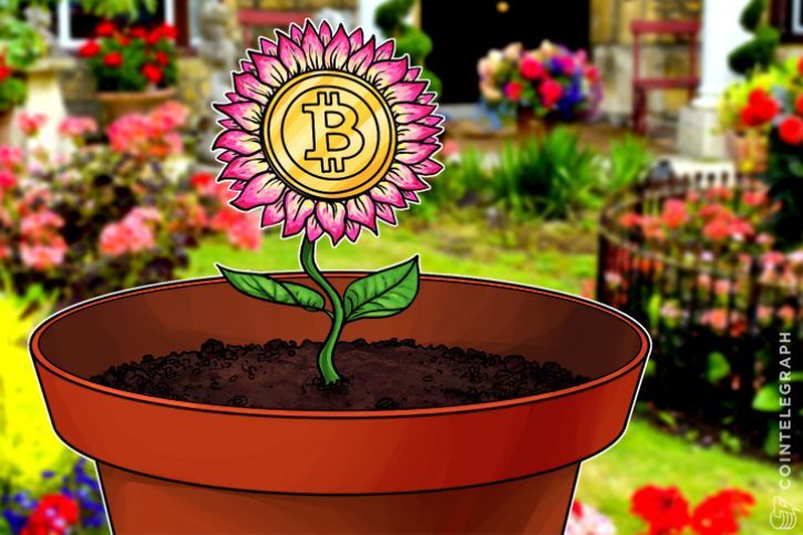 bitcoin-rise-due-to-global-currency-crises-accessibility-analysis