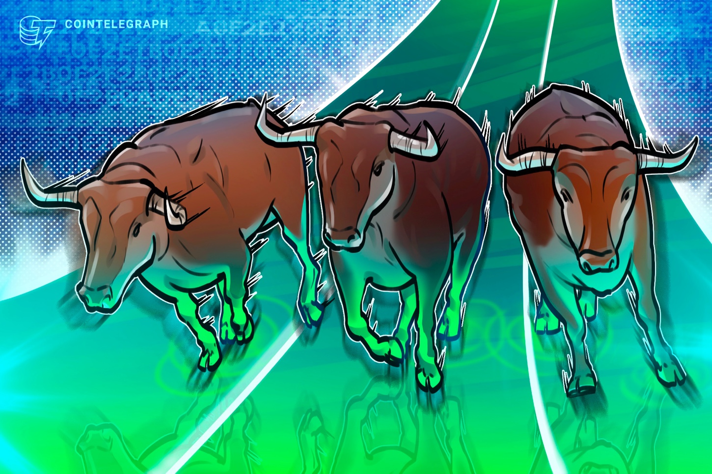 3-bull-market-narratives-2024-you-havent-heard