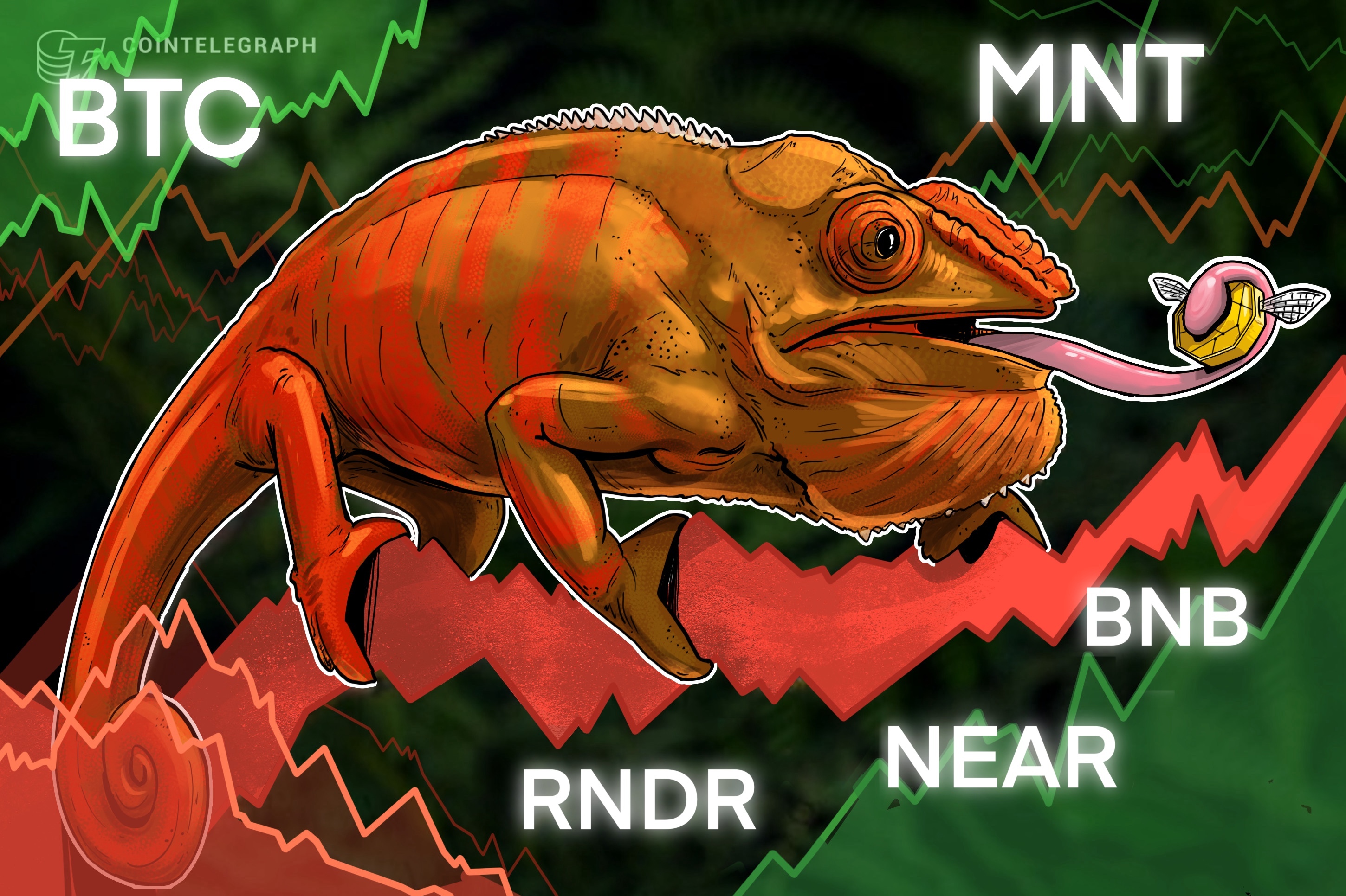 bitcoin-turns-bullish-after-the-halving-will-bnb-near-mnt-and-rndr-follow
