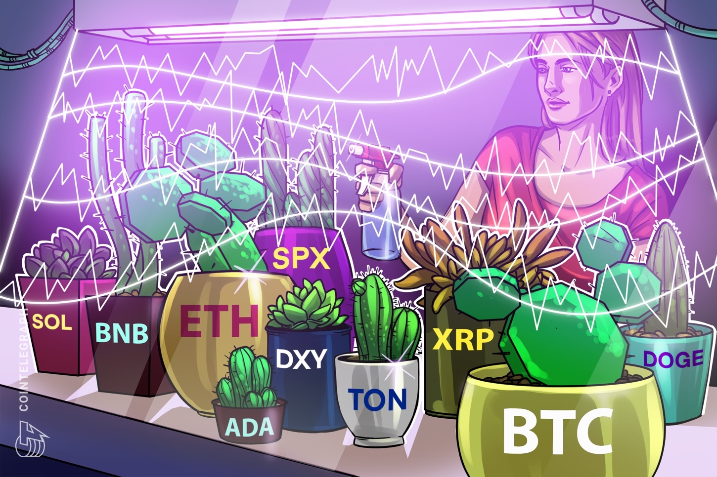 price-analysis-5-20-spx-dxy-btc-eth-bnb-sol-xrp-ton-doge-ada
