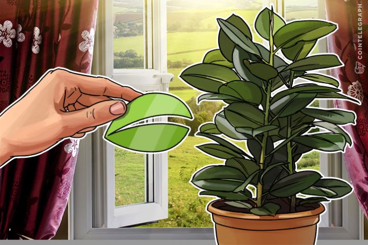 bitfinex-tokens-let-users-hedge-bets-on-bitcoin-segwit2x-hard-fork