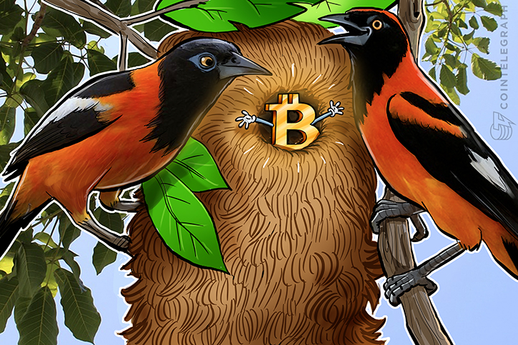 bitcoin-exchange-localbitcoins-posts-fourfold-trading-volume-increase-in-venezuela
