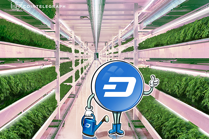 digital-currency-looks-to-solve-cannabis-industrys-cash-problem