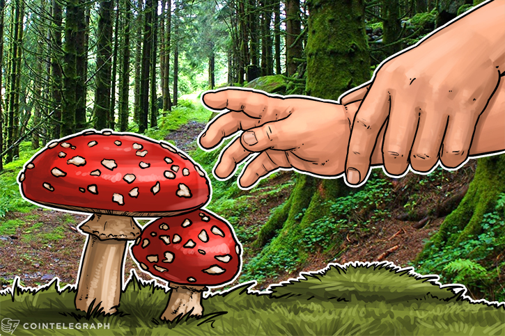 a-tale-of-two-icos-how-maidsafe-tezos-endangered-own-projects-with-critical-mistakes