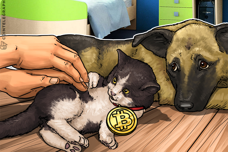 morgan-stanley-ceo-plays-down-bitcoin-joining-bankers-choir