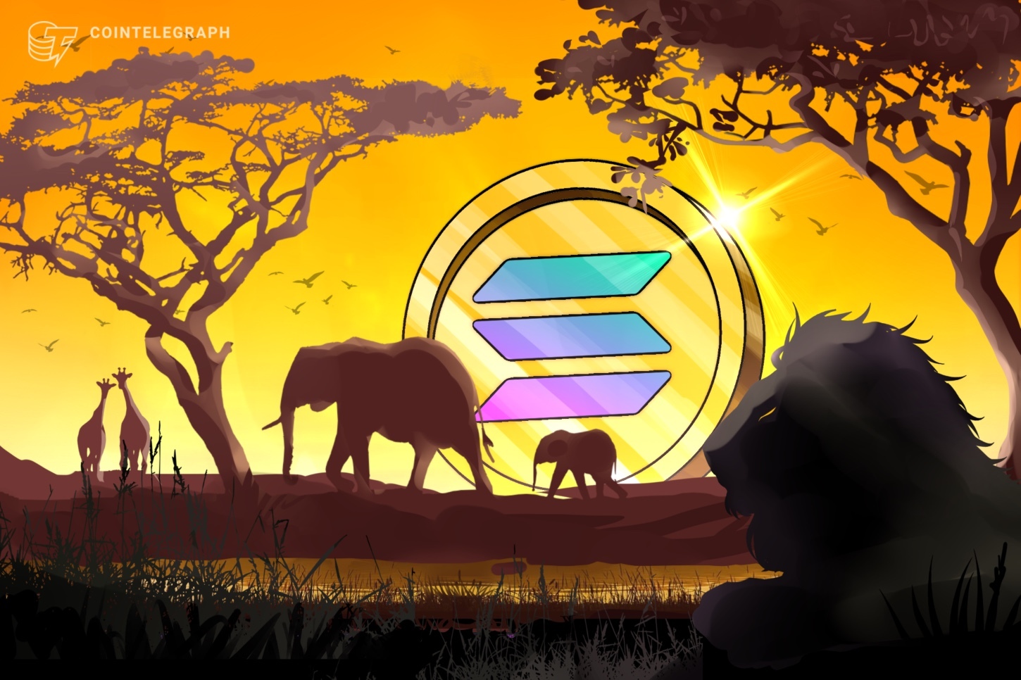 solana-african-crypto-adoption-flincap-cmo