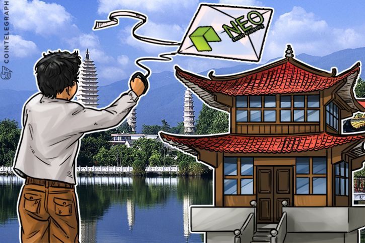 neo-devcon-sees-microsoft-judge-networks-potential-uses