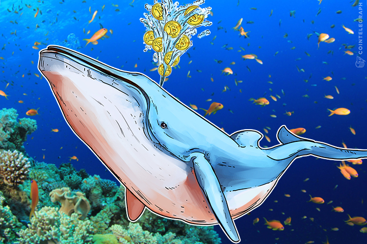 whales-and-killer-whales-bitcoins-big-money-movers