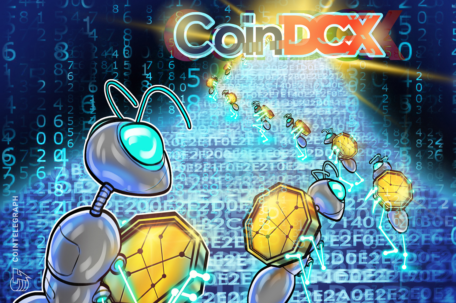 coindcx-crypto-investors-protection-fund-india