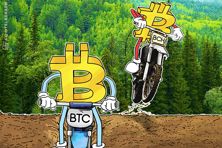 crypto-mania-in-full-swing-daily-highs-and-lows