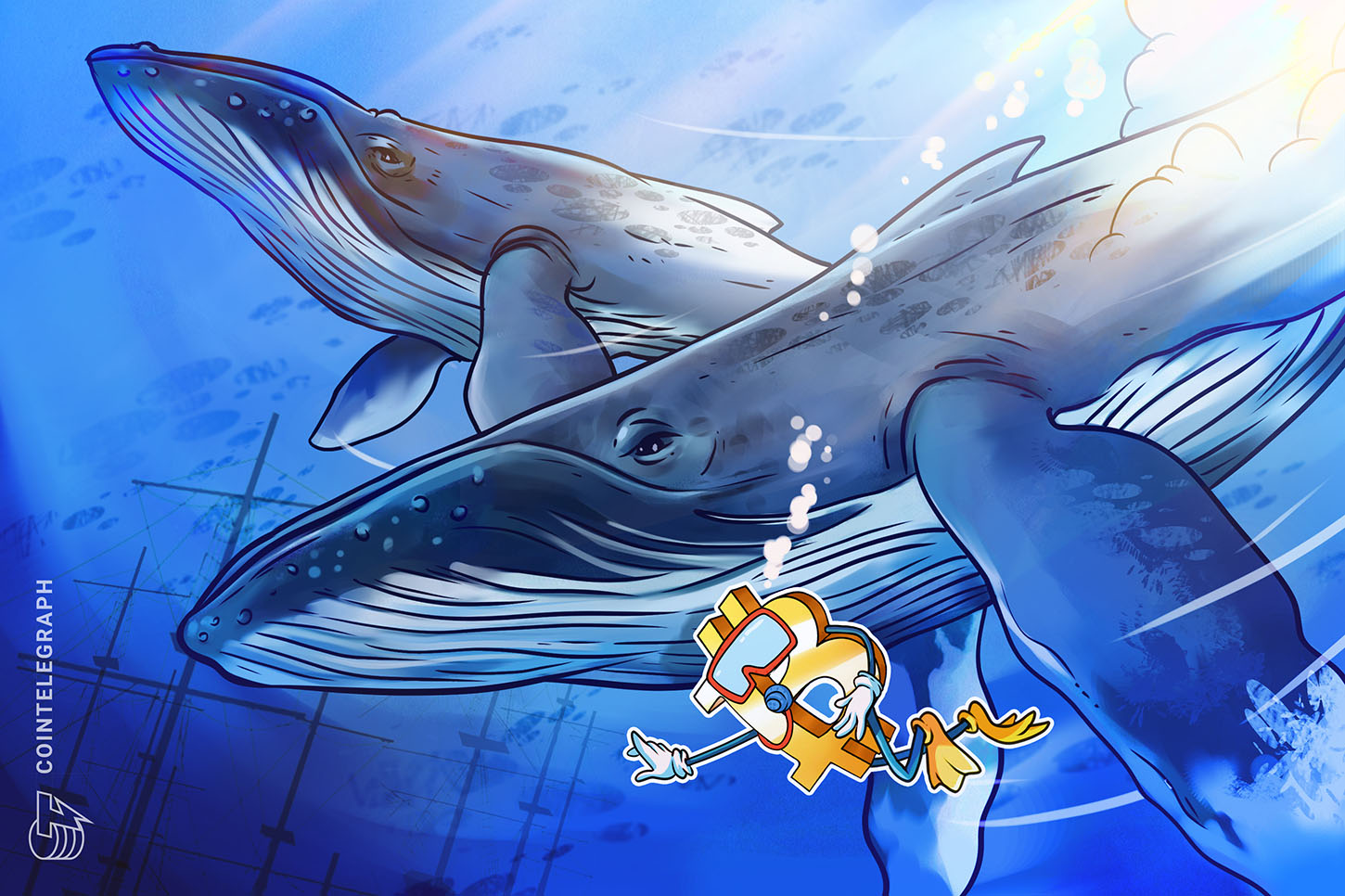 bitcoin-whales-add-just-1-btc-holdings-per-month