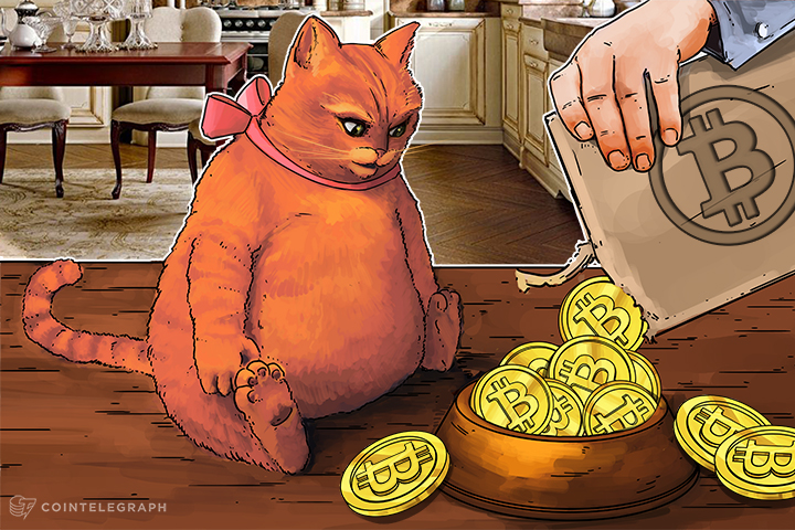 hodl-everything-or-take-profits-on-crypto-gains