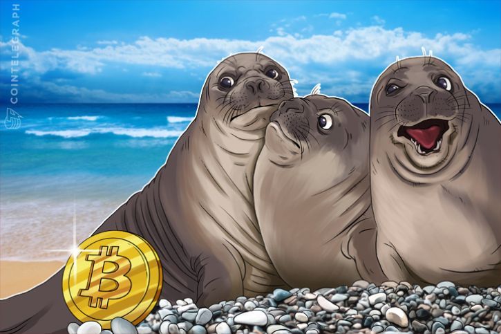 ubs-chairman-warns-against-bitcoin-for-main-street-wants-no-blame-if-market-crashes