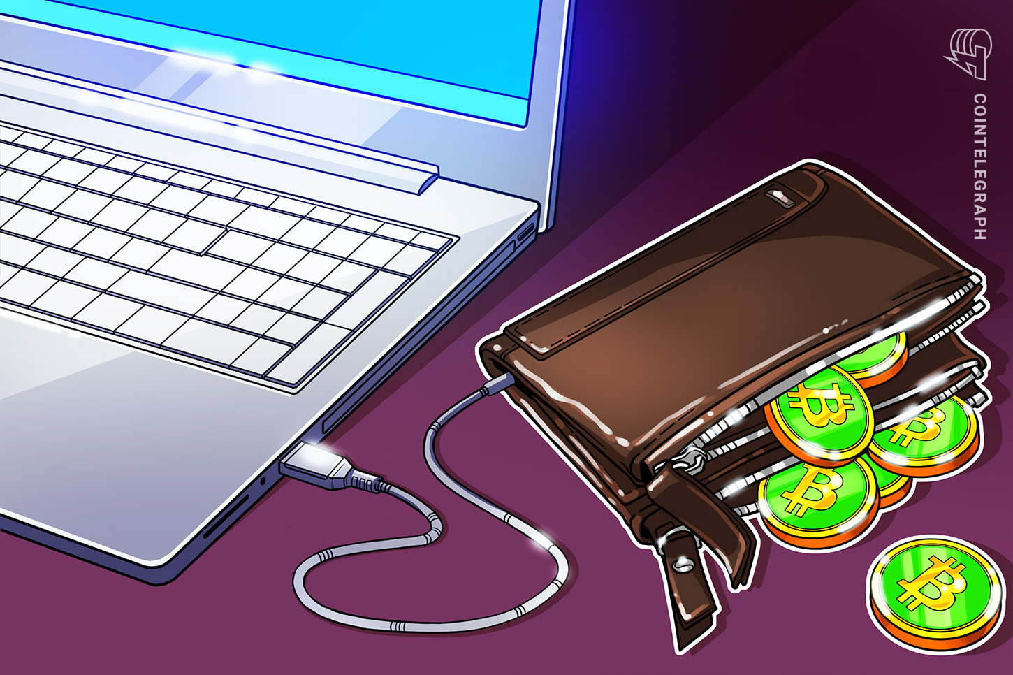 shrimp-bitcoin-wallets-increase-near-term-crypto-analyst