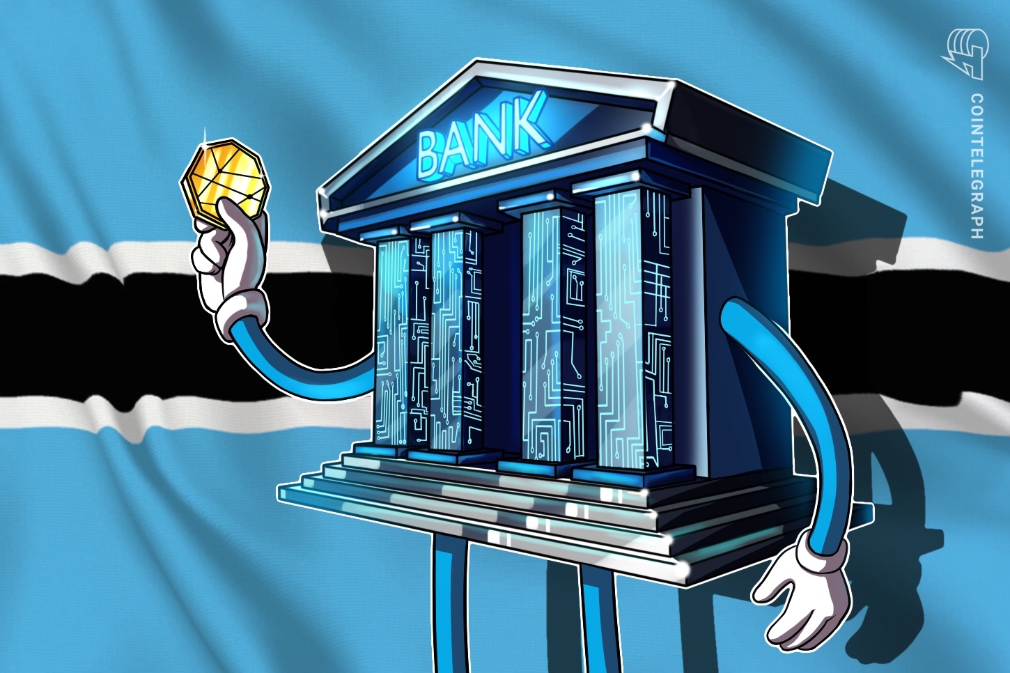 botswana-central-bank-crypto-risks-regulations-2024