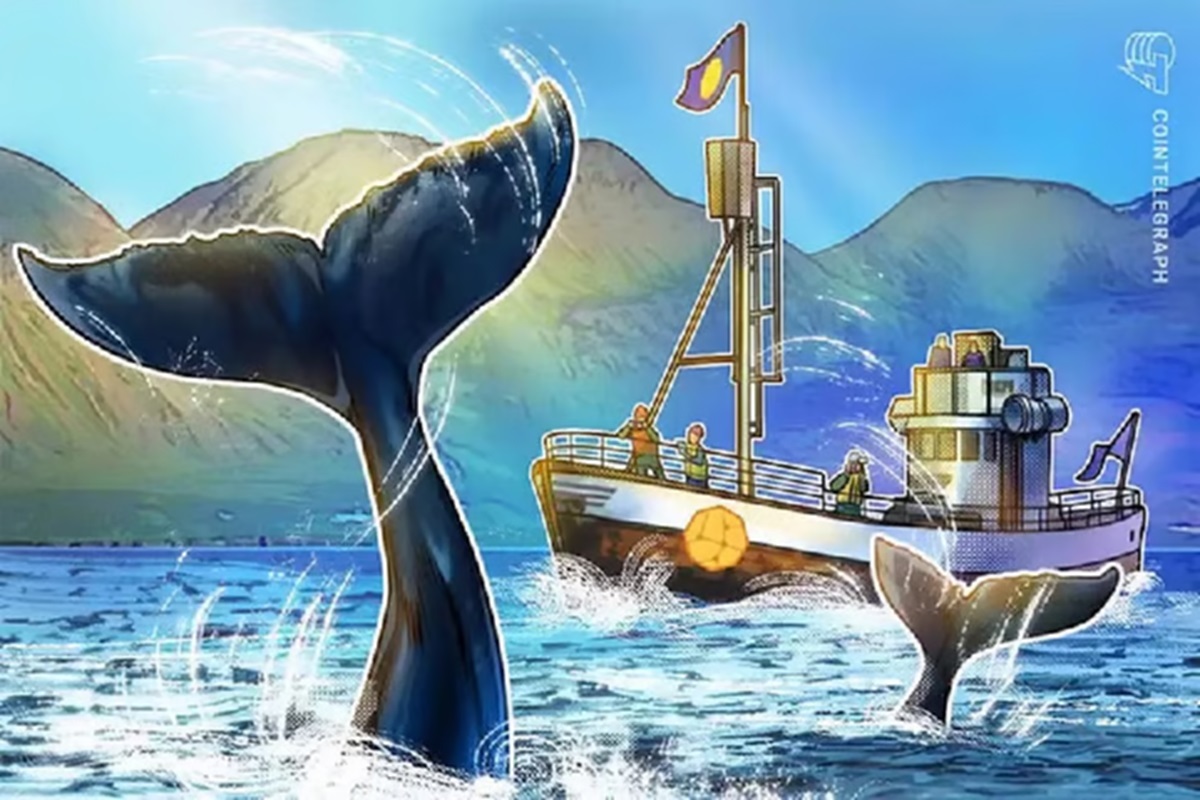 10-cryptocurrencies-fanned-by-whales-to-watch-as-bitcoin-bounces-back-from-its-tumble