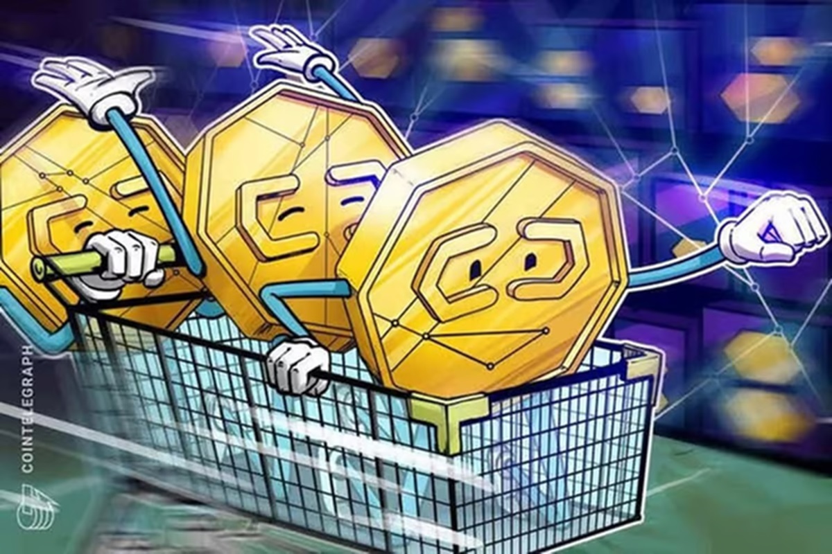 3-high-cap-altcoins-under-whale-buzz-to-watch-for-the-next-bull-cycle
