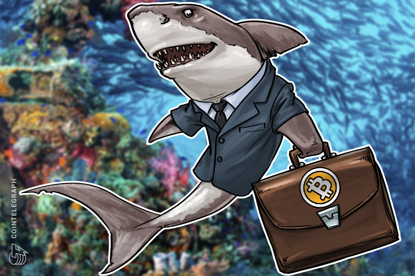data-shows-switch-from-hodlers-to-speculators-in-bitcoin-in-last-6-months