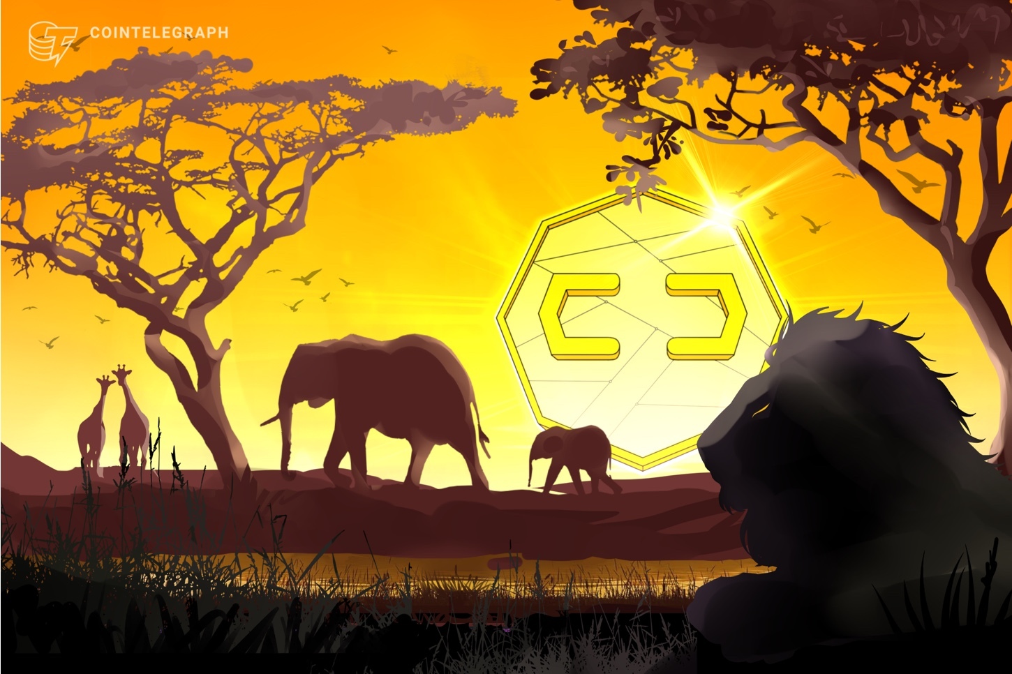 africa-is-the-key-to-mass-adoption