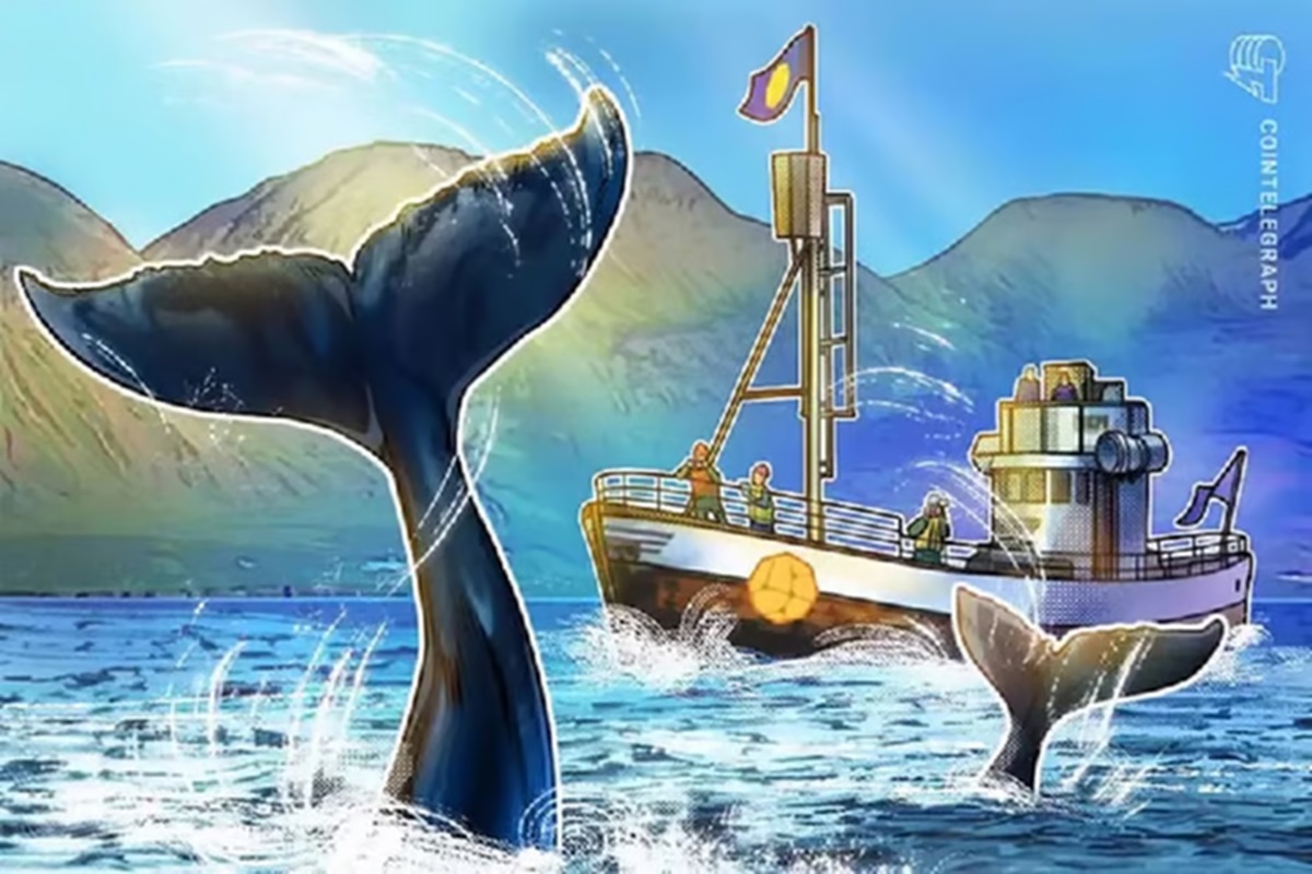 4-altcoins-monopolized-by-up-to-61-by-whales-if-they-decide-to-sell-they-could-cause-sudden-drops