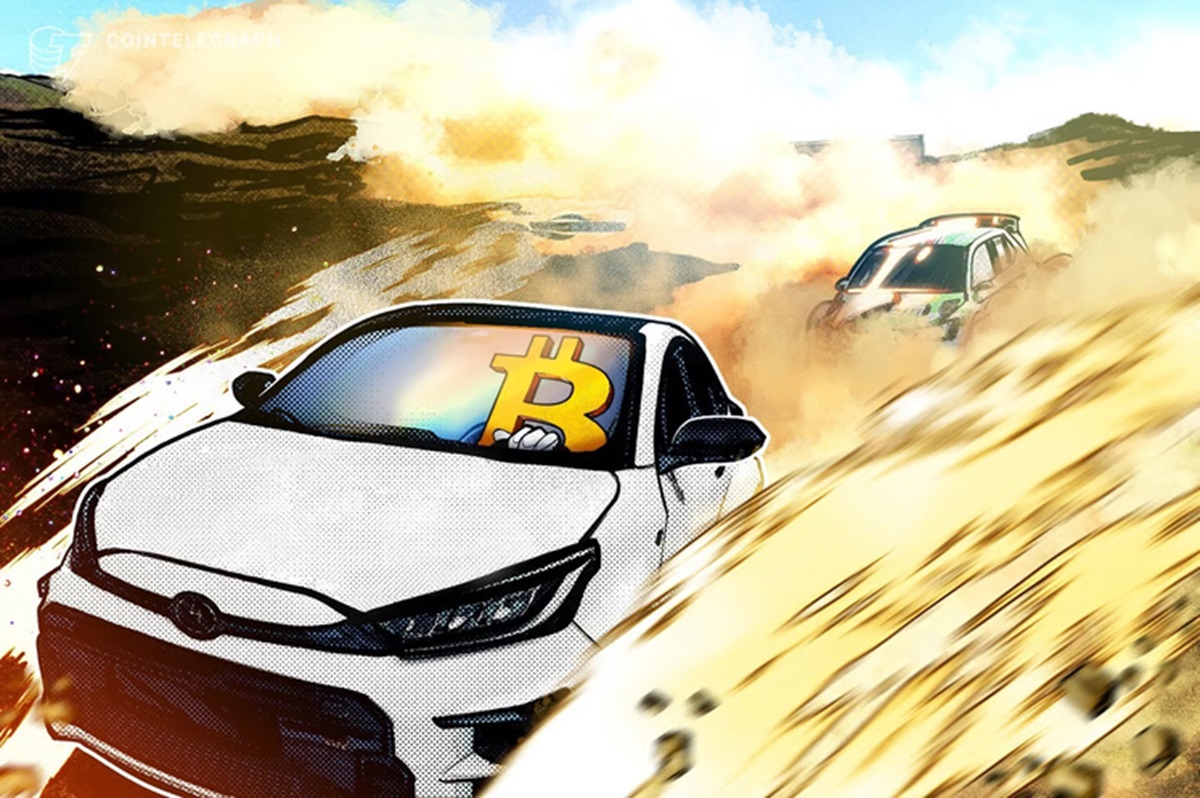 sardines-and-whales-proliferate-buy-the-dip-and-target-bitcoins-next-rally