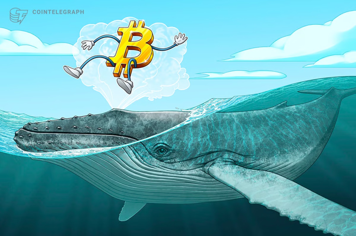 bitcoin-whale-wakes-up-after-8-years-and-8-300-amid-forecast-of-new-btc-bullish-leg