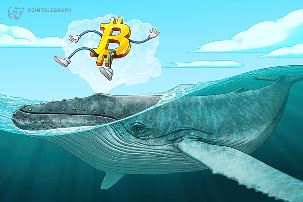 whale-hunger-and-us-reserves-could-prolong-bitcoin-rally-analysts-suggest