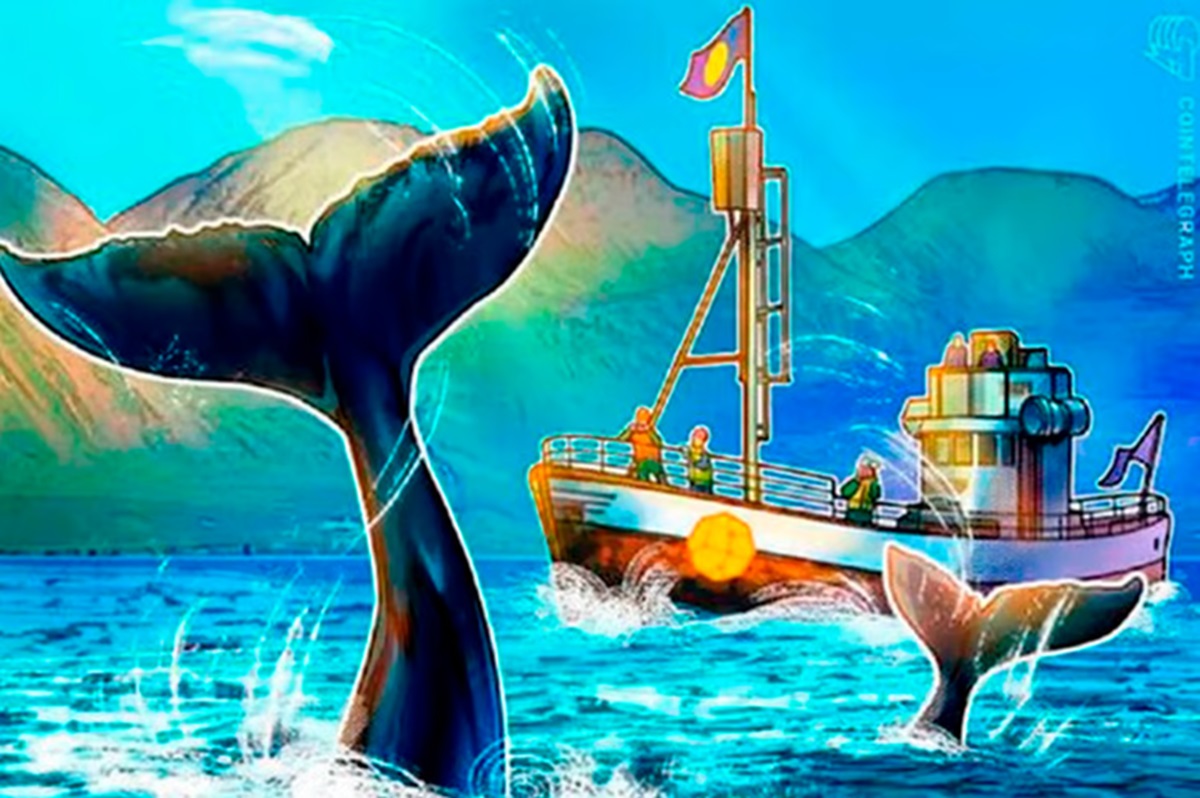 10-most-whale-besieged-cryptocurrencies-to-watch-in-may