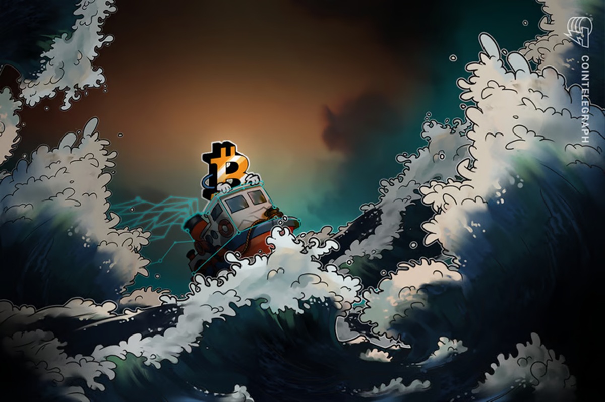 whales-and-sardines-are-euphoric-and-will-sink-as-bitcoins-liquidity-drains-expert-warns