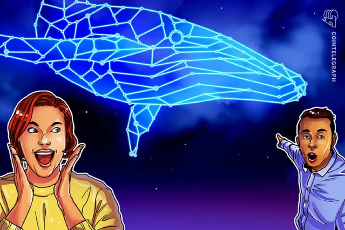 sardine-frenzy-is-the-eve-of-bitcoin-s-crash-analysis-suggests