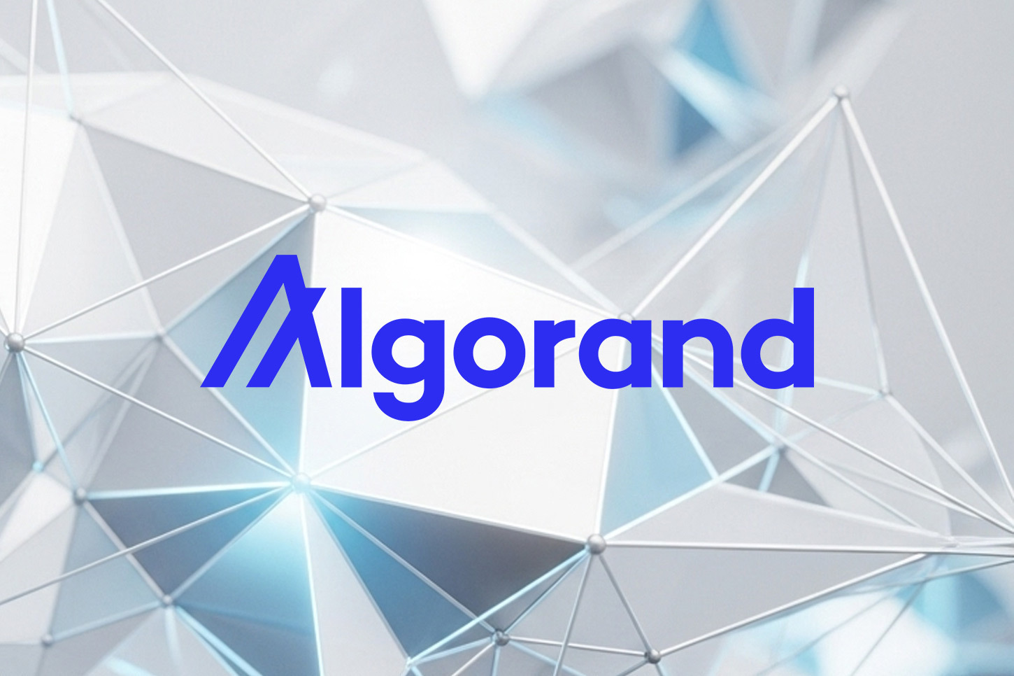 algorand-foundation-announces-launch-of-wormhole-native-token-transfers
