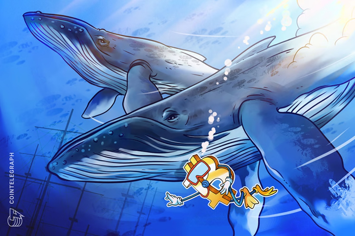 whales-dump-on-bitcoin-profit-taking-but-cryptocurrencies-rise-up-to-50