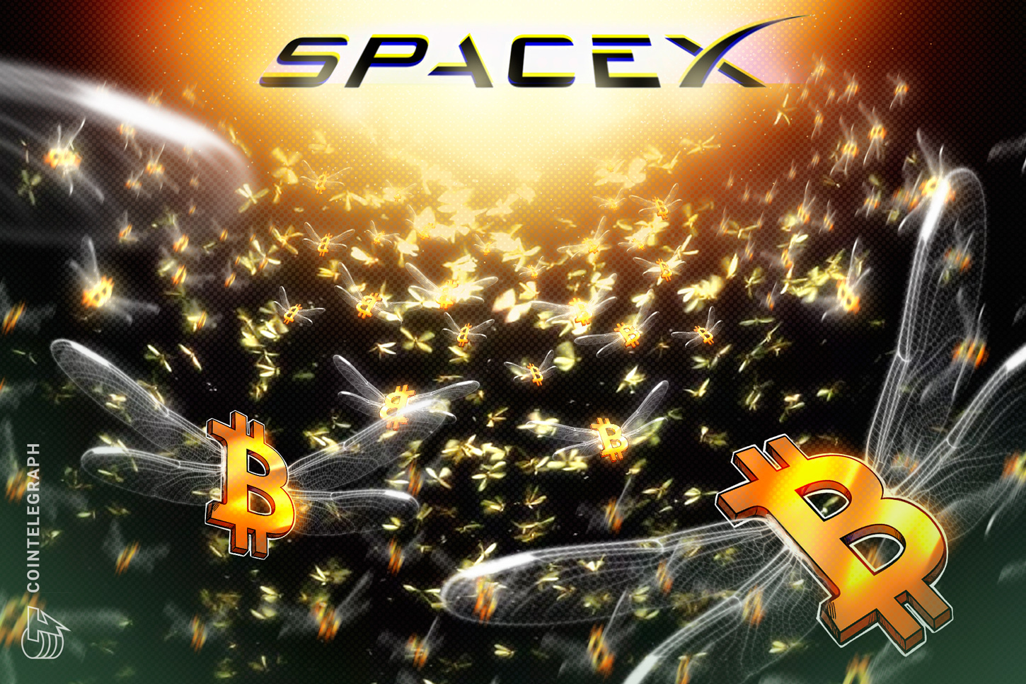spacex-moves-153m-bitcoin-three-year-silence