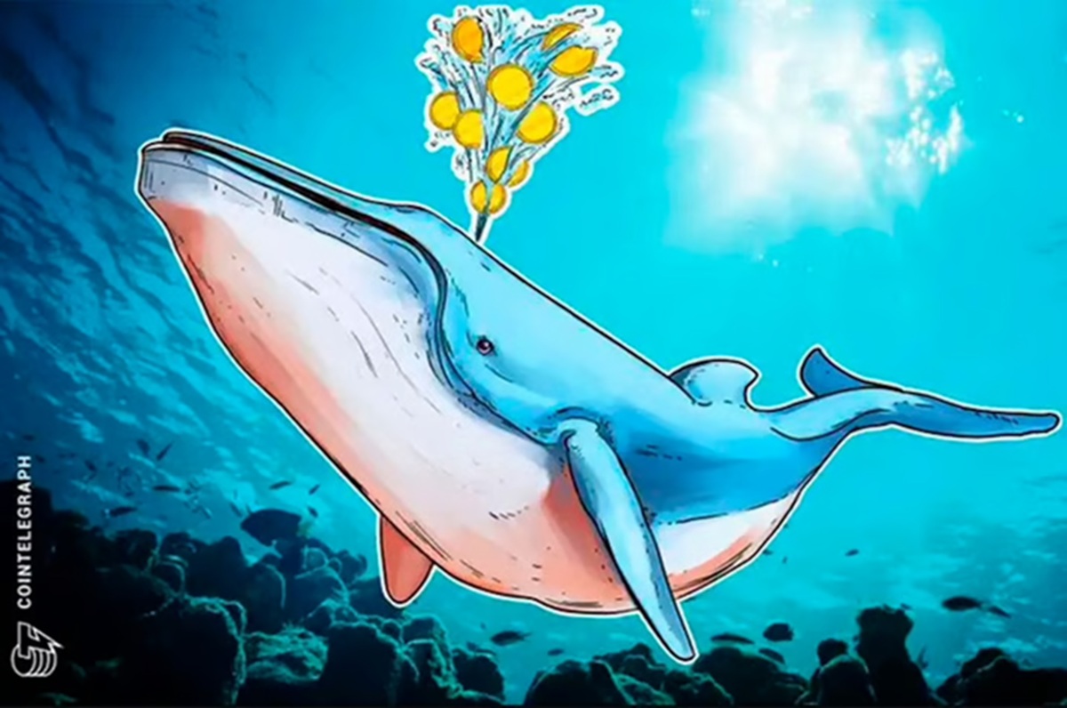 6-cryptocurrencies-in-whale-waters-to-keep-an-eye-on