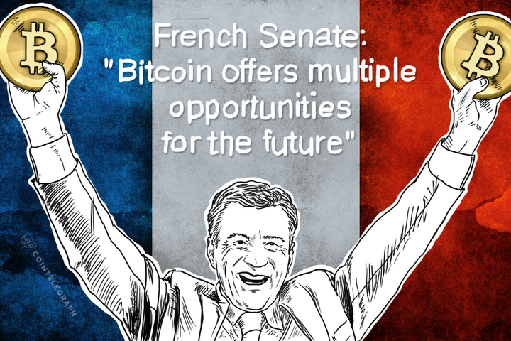 french-senate-bitcoin-offers-multiple-opportunities-for-the-future