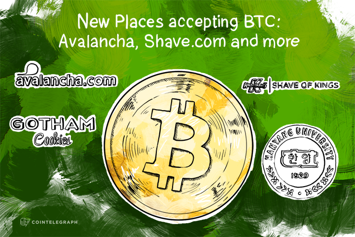 new-places-accepting-btc-avalancha-shavecom-and-more