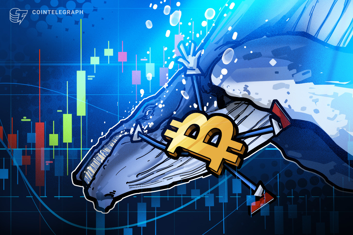 bitcoin-whales-accumulating-amid-crash-while-smaller-holders-offload