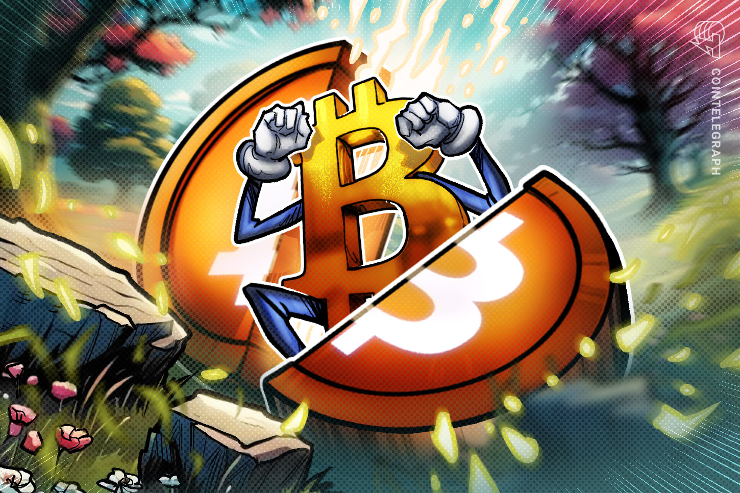 13-years-bitcoin-first-halving-state-of-mining-2025