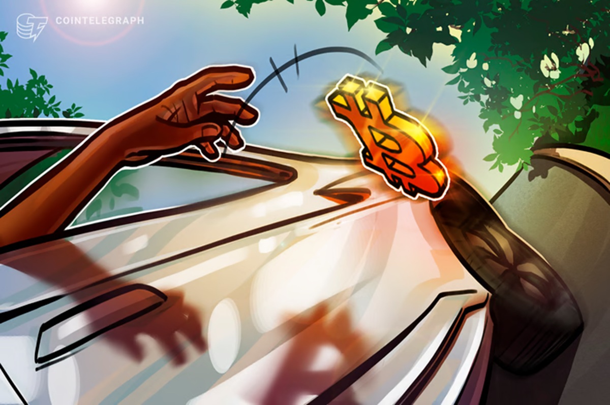 crypto-market-crash-gains-wiped-out