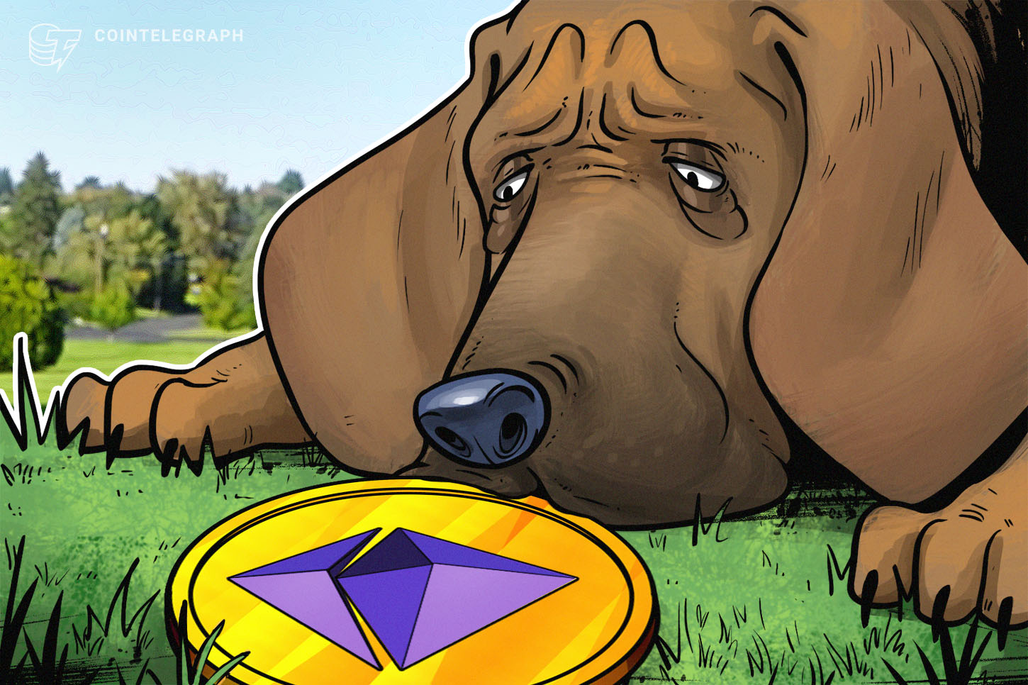 quadrigacx-reportedly-stored-eth-on-kraken-bitfinex-and-poloniex-research-finds